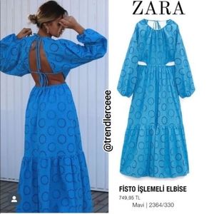 Zara Cutout Openwork Open Back Dress